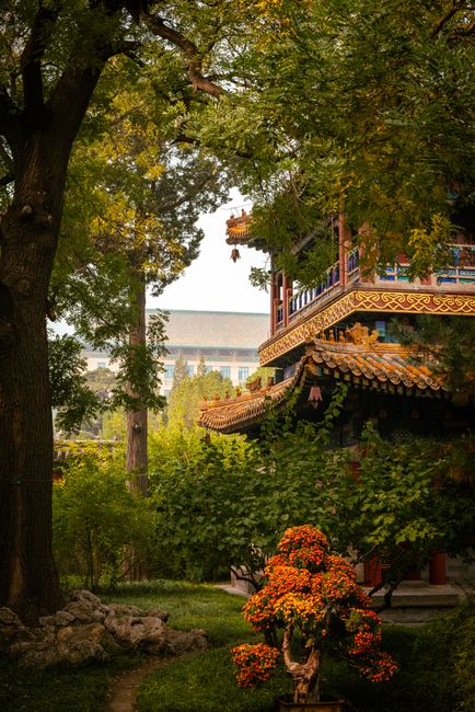 Finding Peace in Ancient Temples and Pagodas Off the Beaten Path Finding Peace in Ancient Temples and Pagodas Off the Beaten Path