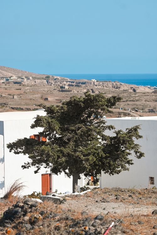 Free View of Fira's coastal landscape with a solitary tree and clear blue sky Stock Photo