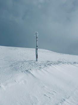 A tranquil winter landscape in the Carpathian Mountains, Romania, covered in a blanket of snow.