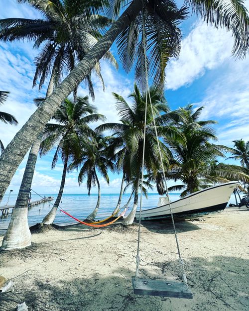 Free Relaxing beach view in Mexico with palm trees, a swing, and a hammock by the sea. Stock Photo