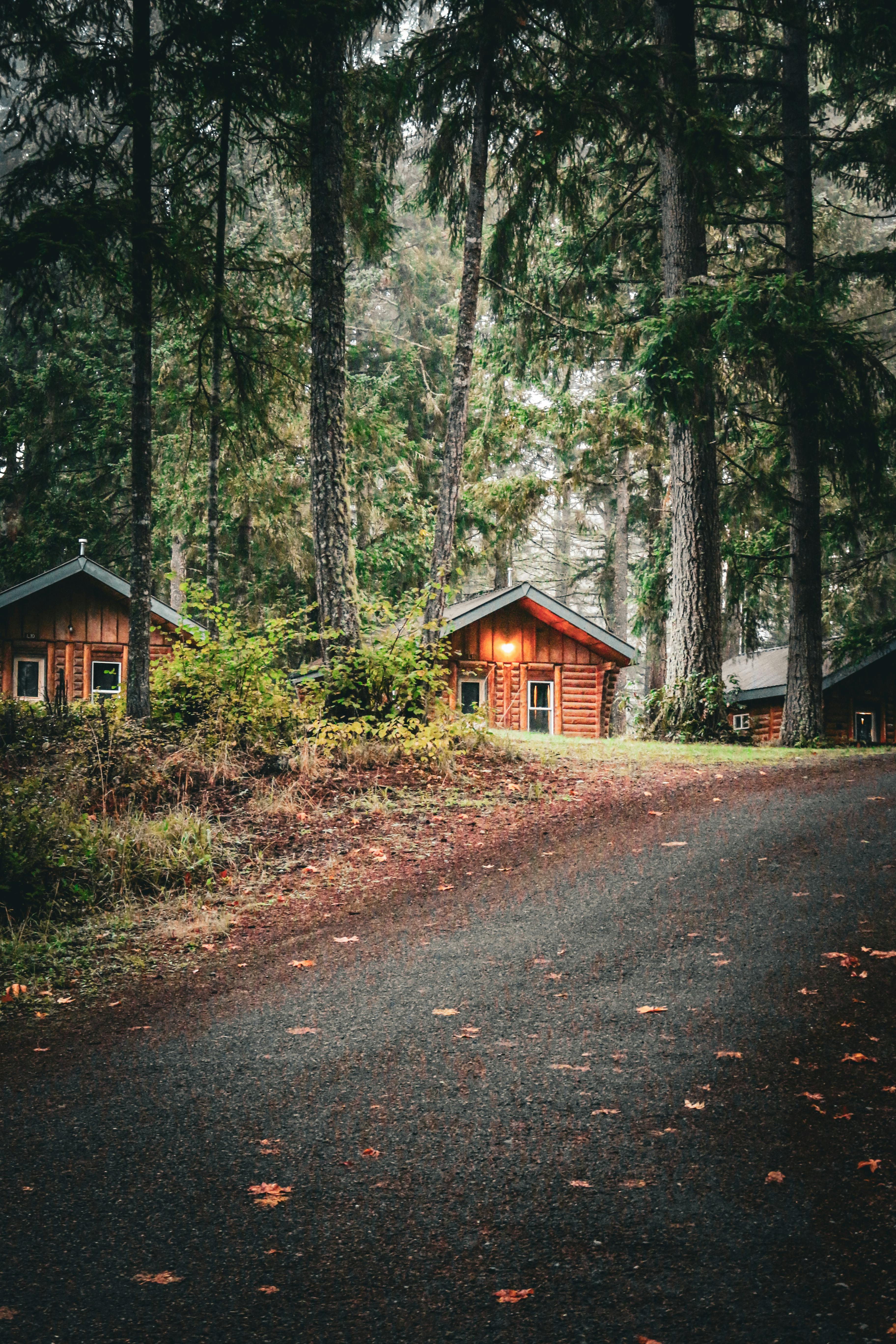 Charming wooden cabins nestled in a serene, misty forest with a winding trail.