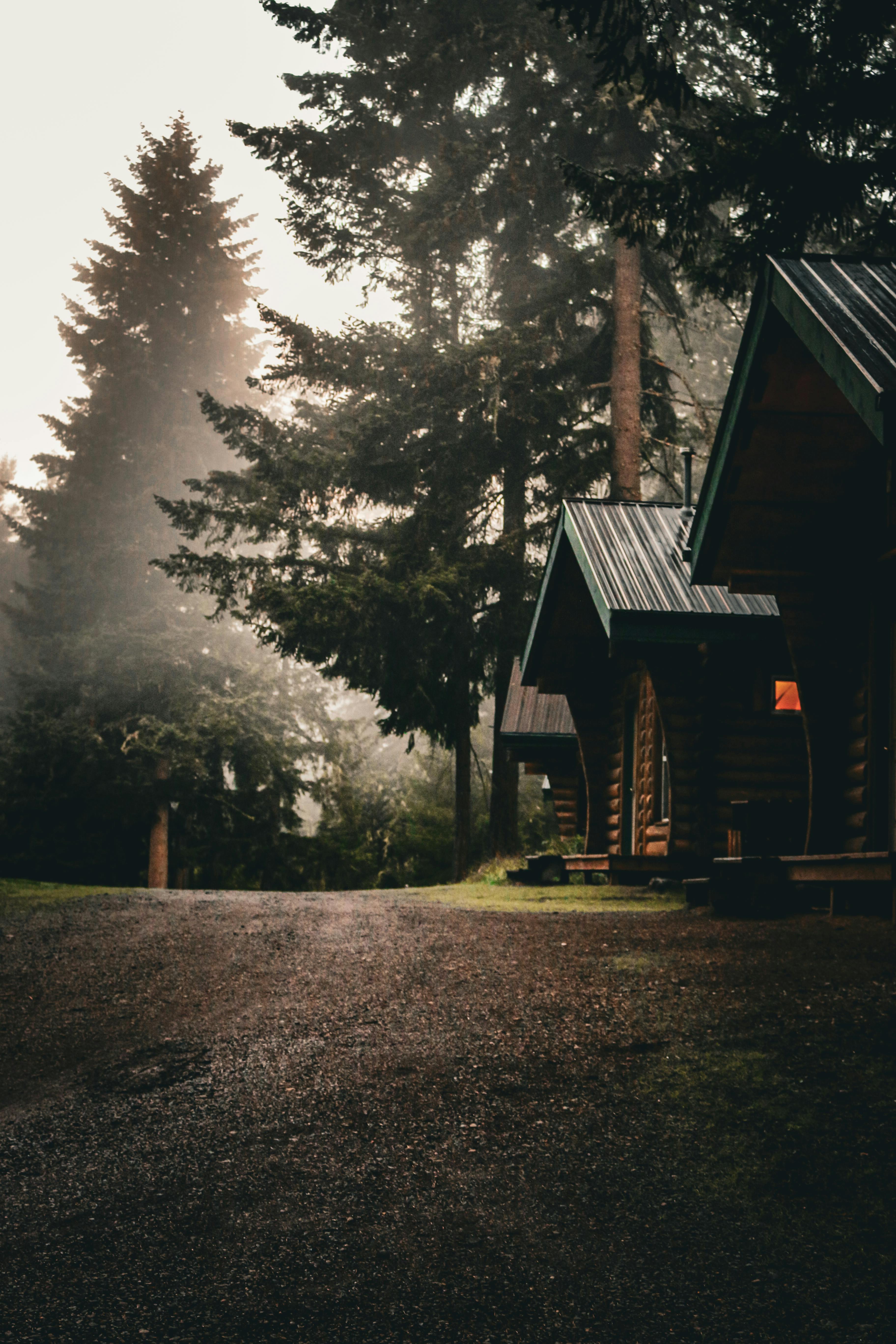 Cozy cabins nestled in a misty forest, perfect for a tranquil retreat or nature getaway.
