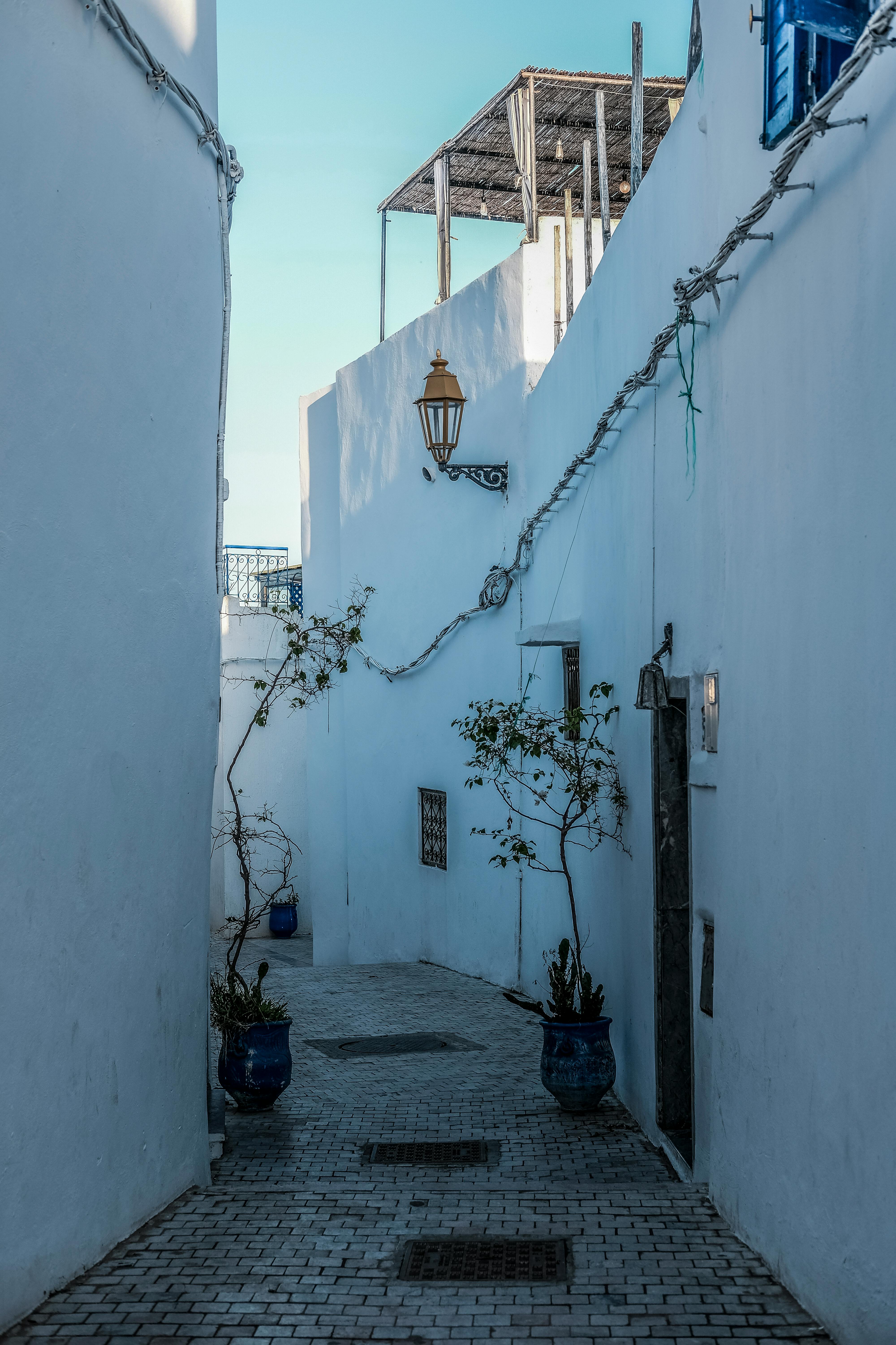 Charming narrow alley in Rabat's medina with whitewashed walls and a serene atmosphere.