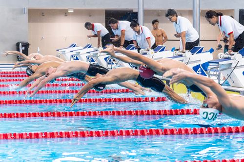 Free Swimmers gracefully dive into the pool, marking the start of a competitive race. Stock Photo