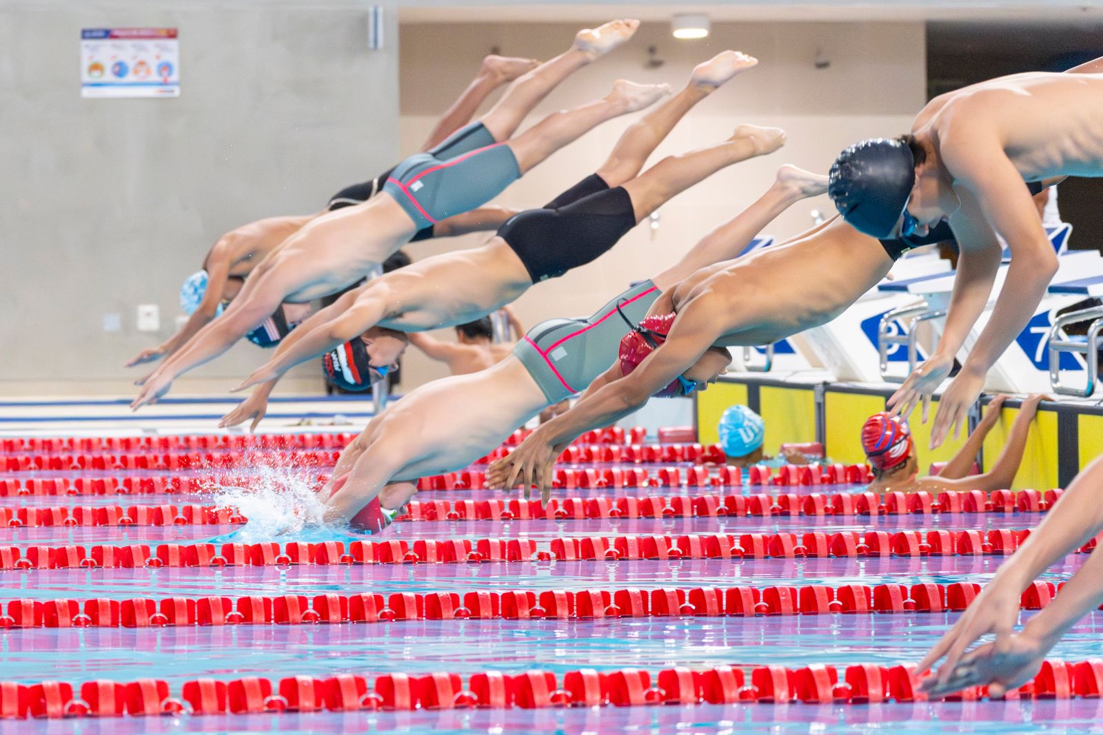 Swimming photo 1