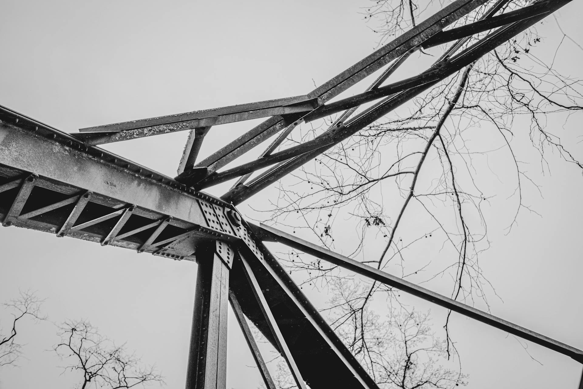 Detailed view of a metal bridge structure set against a bare winter tree background in monochrome.