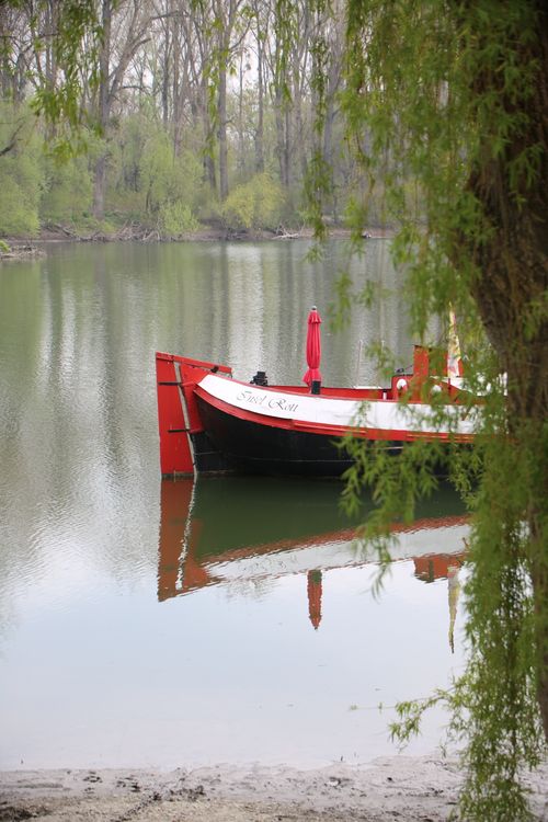 Free A red boat reflecting on a still river surrounded by lush greenery. Stock Photo