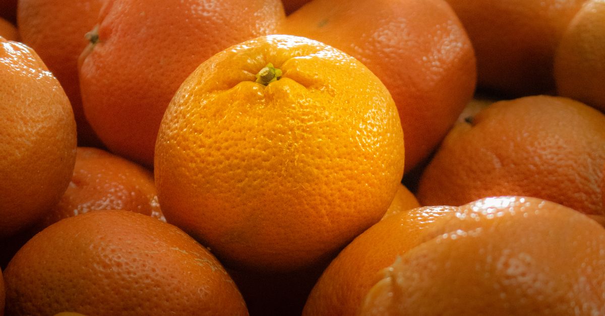 Aranjas Fresh Oranges in Soft Natural Lighting · Free Stock Photo