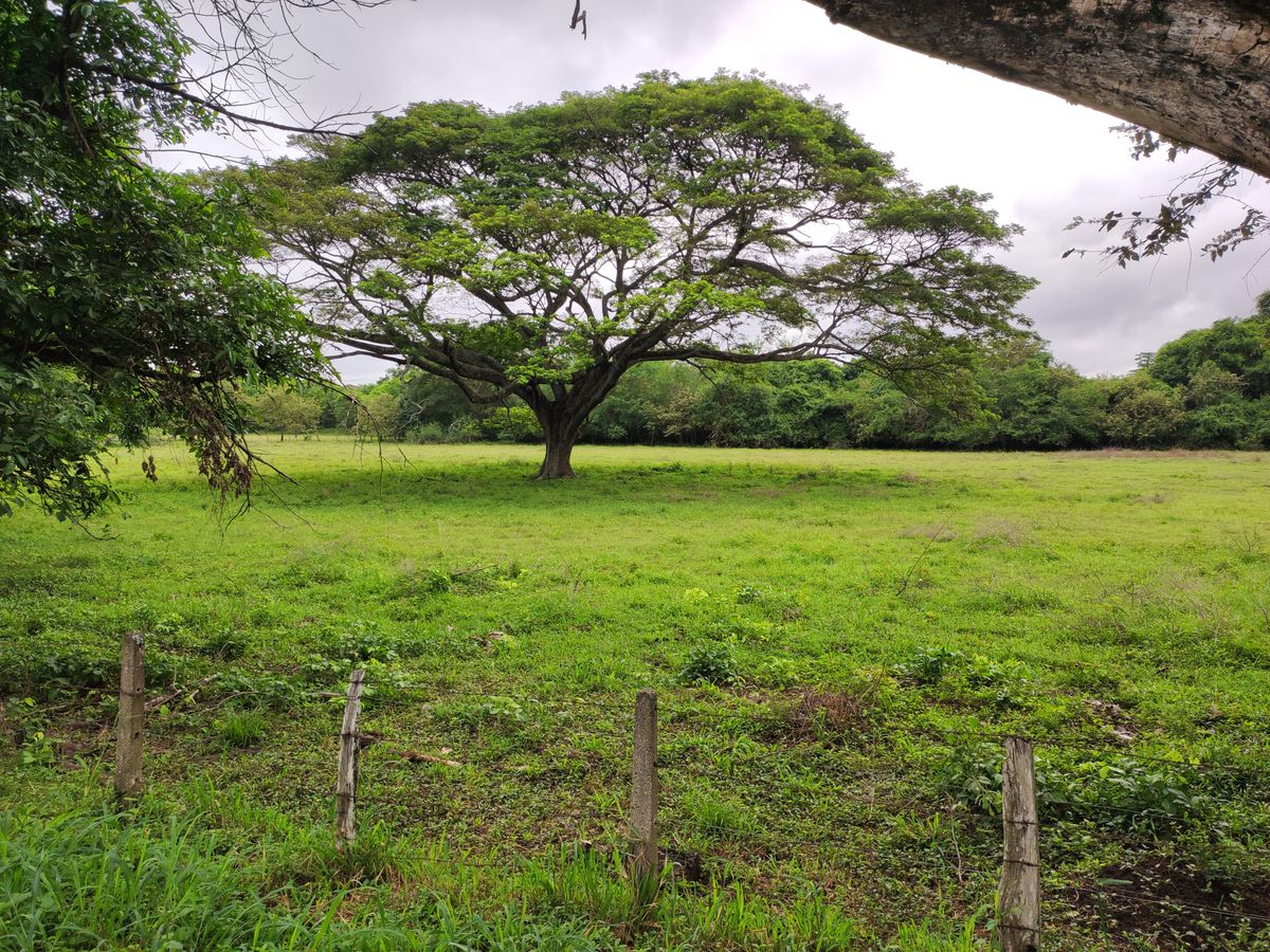 25 Day 'Immerse Your Working Life' Retreat in Paradise, Nicaragua 1
