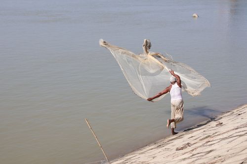 Free A fisherman casting a net by the river in Pabna, Bangladesh, depicting rural life and traditional fishing methods. Stock Photo