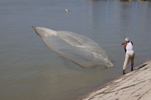 Free A fisherman skillfully casts his net on a riverbank in Pabna, Bangladesh. Stock Photo