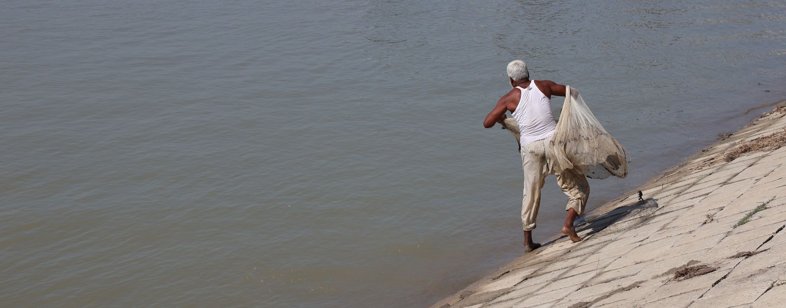 Fisherman throws a net along a riverbank in Pabna, capturing village life in Bangladesh.