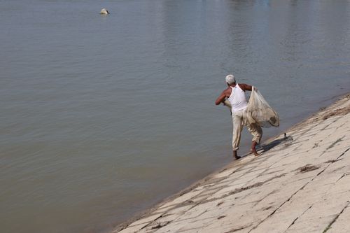 Free Fisherman throws a net along a riverbank in Pabna, capturing village life in Bangladesh. Stock Photo