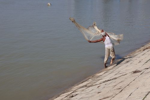 Free A fisherman casts his net from the riverbank in Pabna, capturing the essence of village life. Stock Photo