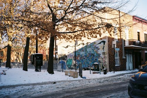 Free Snowy urban street scene with vibrant graffiti and bare trees in winter. Stock Photo