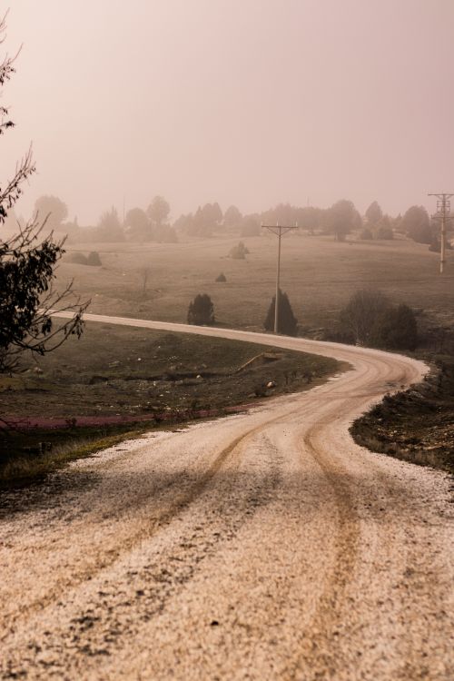 Free A winding dirt road through foggy countryside with sparse trees. Stock Photo