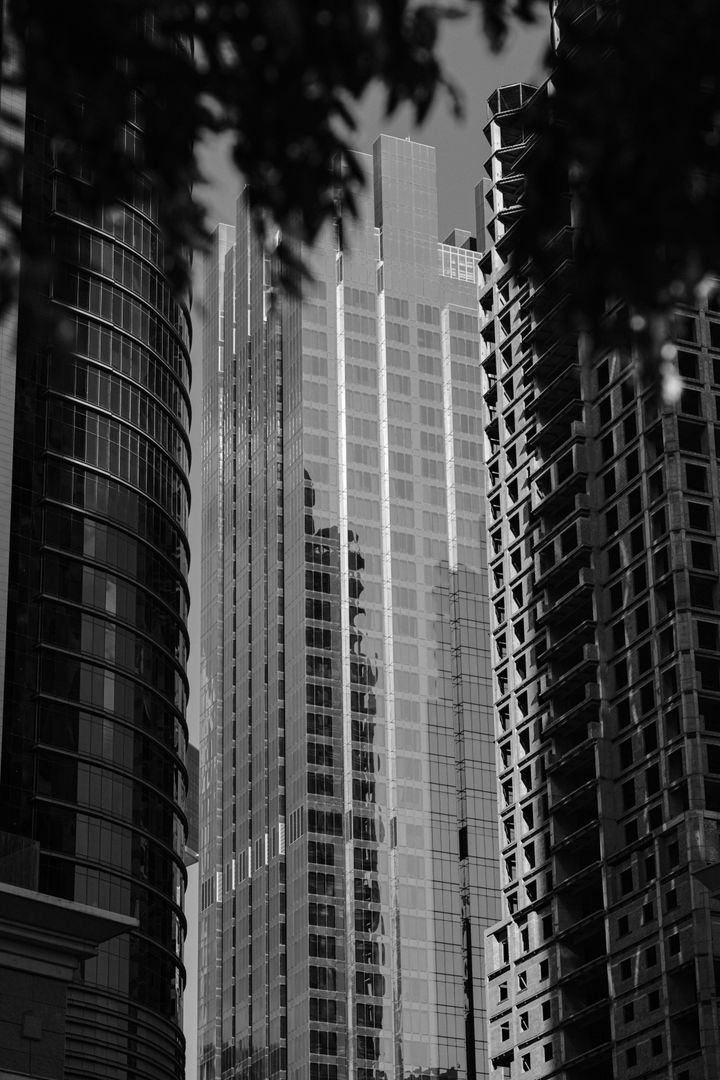 Lines in Flight