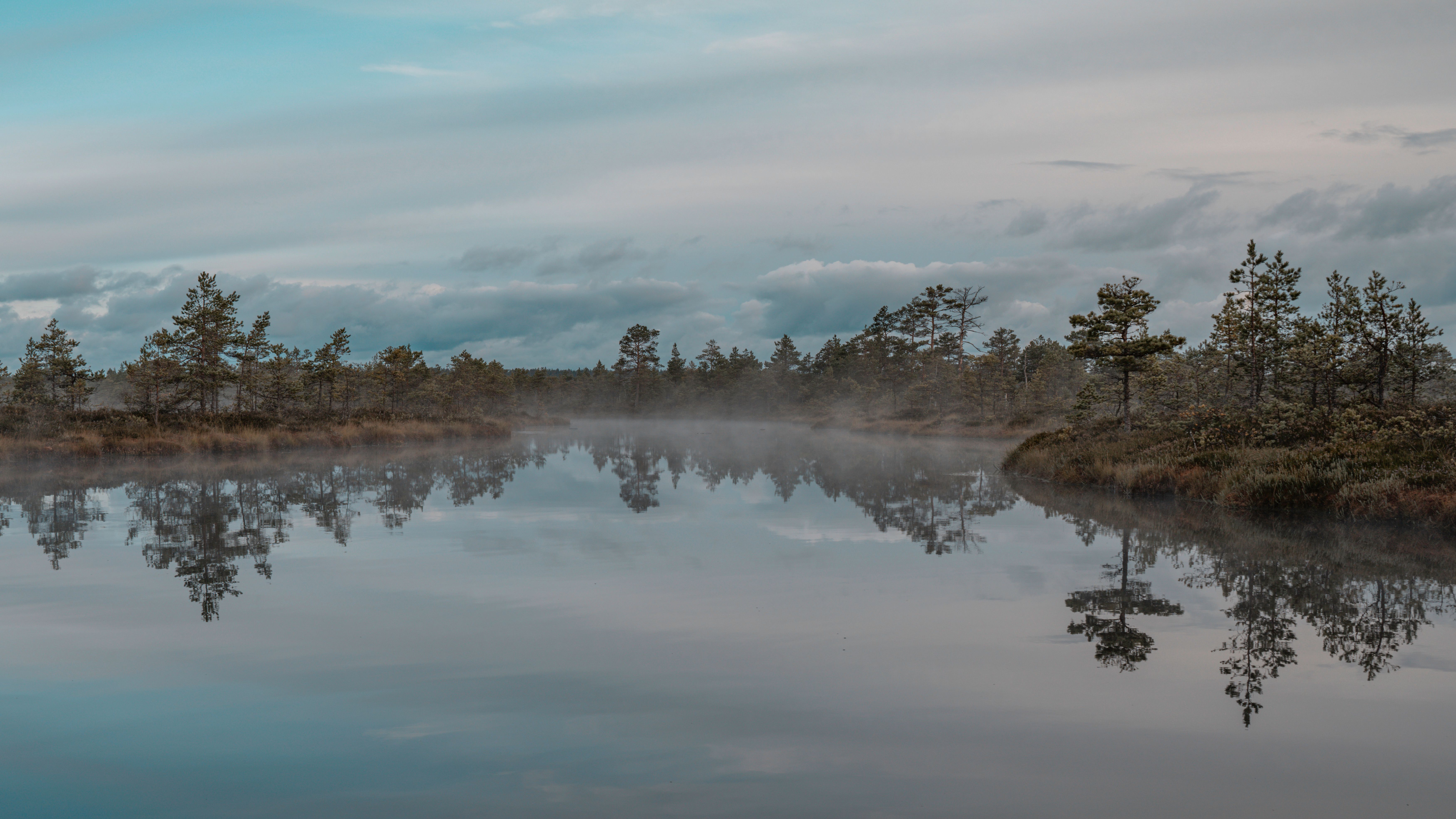 Serene Misty Lake with Trees Reflection · Free Stock Photo