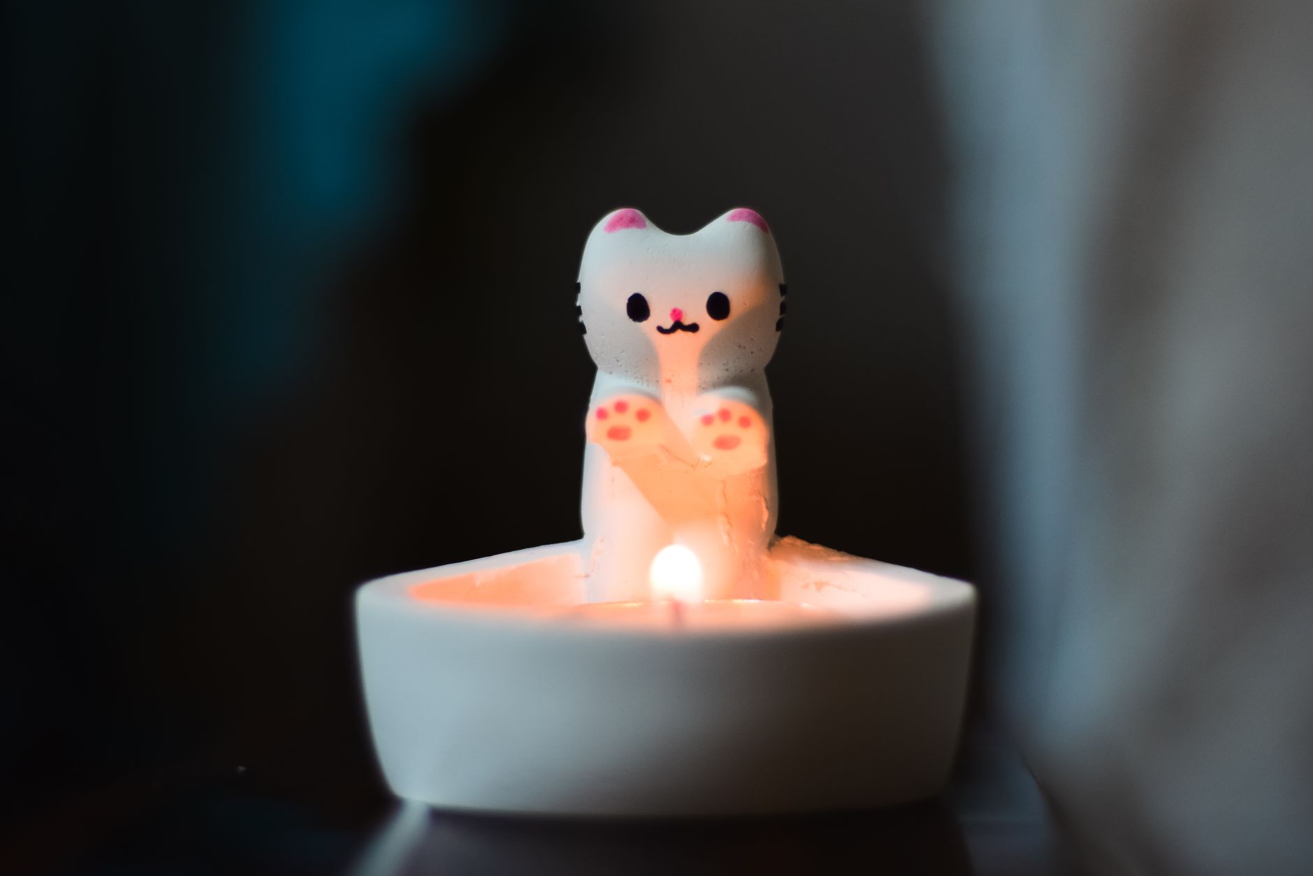 灯りの近くで立ち上がる猫の影