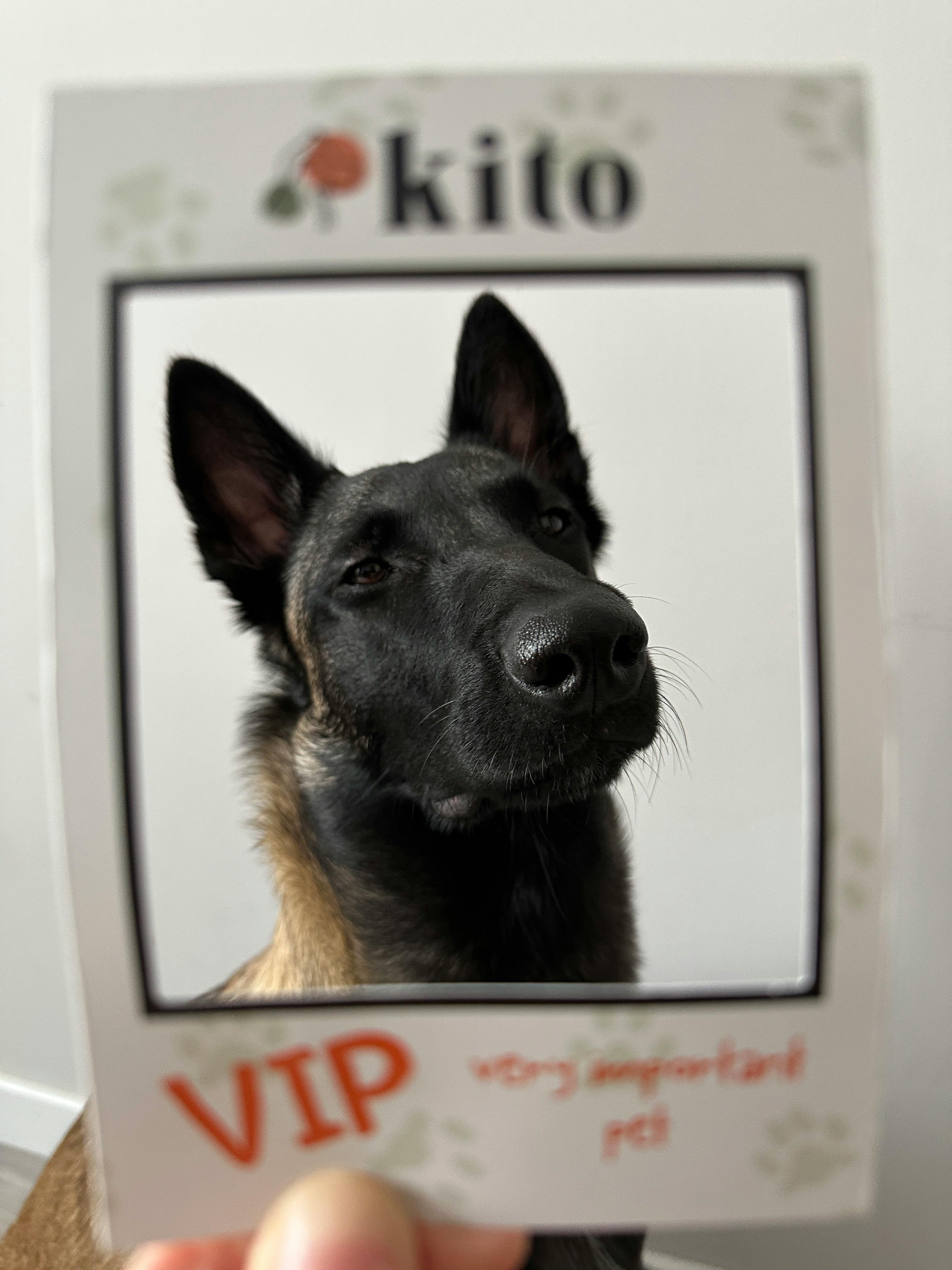 Animation De Vip Photos, Download The BEST Free Animation De Vip Stock ...