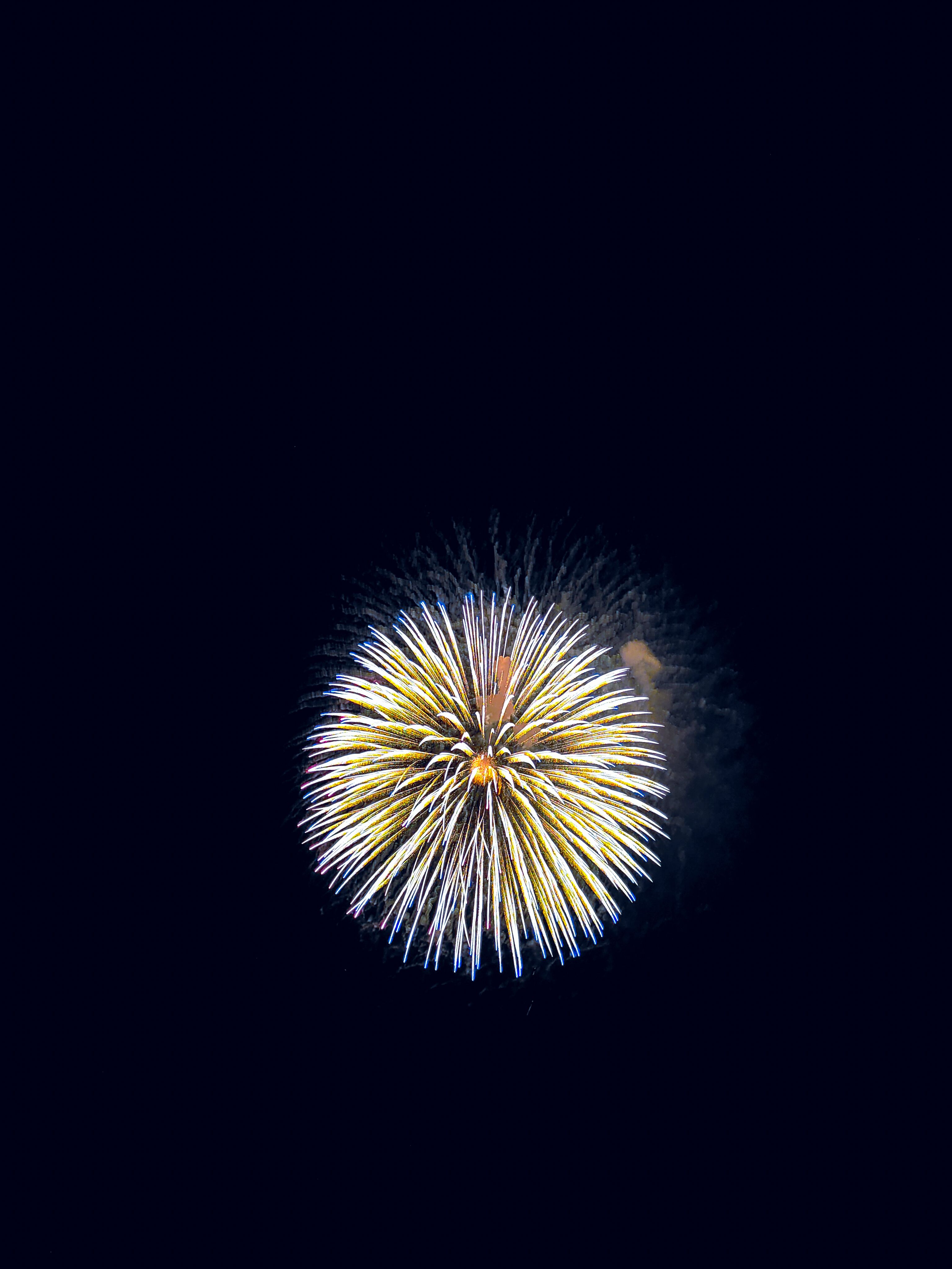 A vibrant firework bursts in the dark sky, captured in Japan.