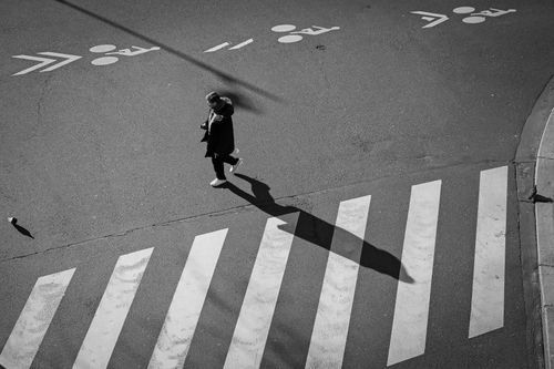 Free A person walks across a city crosswalk casting a long shadow. Stock Photo