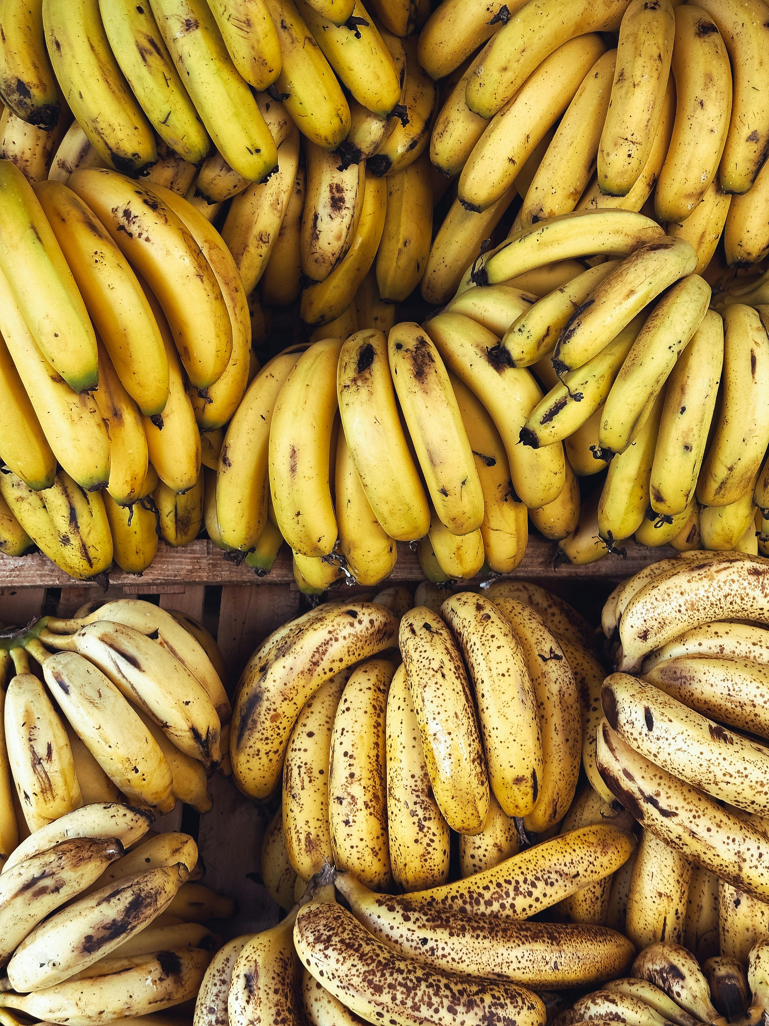 A vibrant display of fresh ripe and spotted bananas in a market setting, showcasing texture and color.