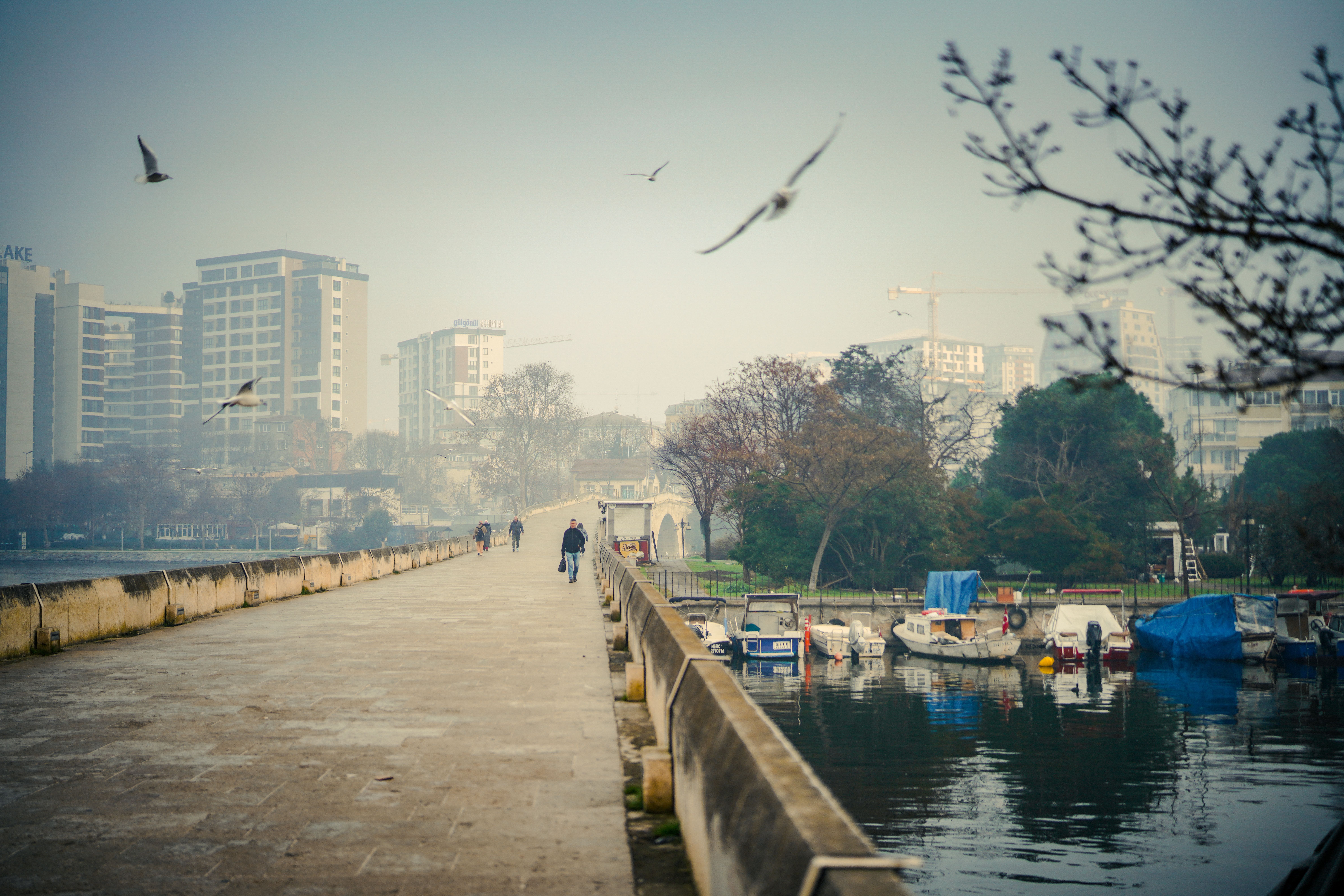 Peaceful Riverside Promenade with Cityscape · Free Stock Photo