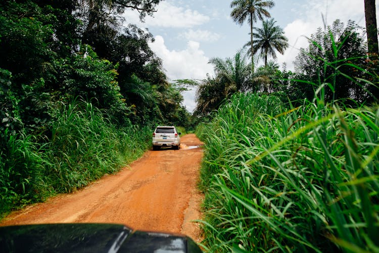 White SUV Driving On Dirt Road Surrounded By Trees And Plants