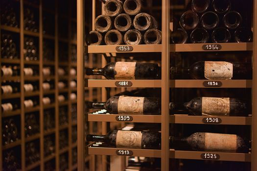 Grand cru classé château visit — Bordeaux