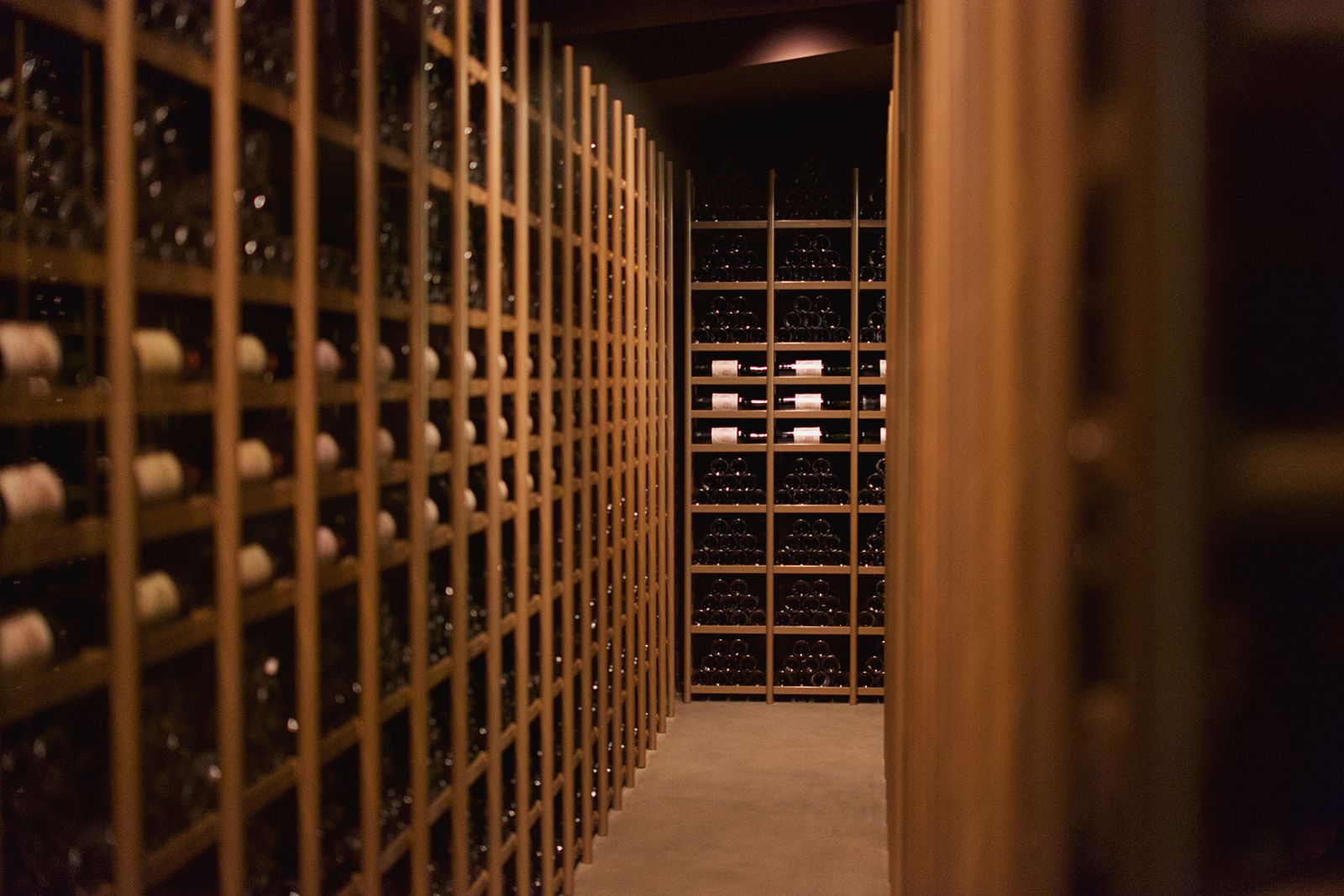 The Art of the Cellar: A Beginner's Guide to Building a Fine Wine Collection Worth Keeping