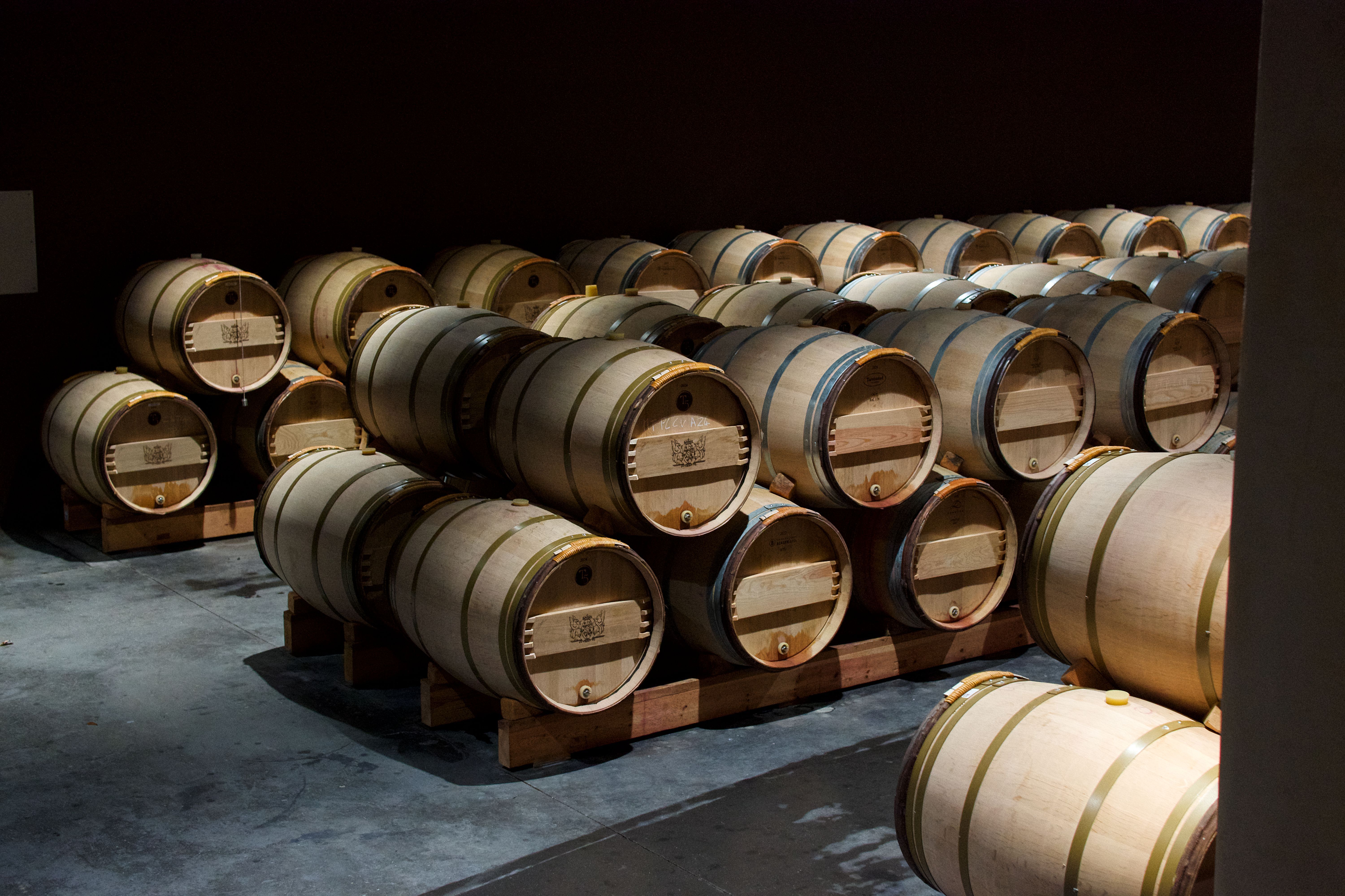 Bordeaux 2026: A Guide to Wine, History, and Heritage