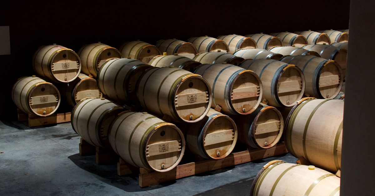 Bordeaux 2026: A Guide to Wine, History, and Heritage 11 Bordeaux 2026: A Guide to Wine, History, and Heritage