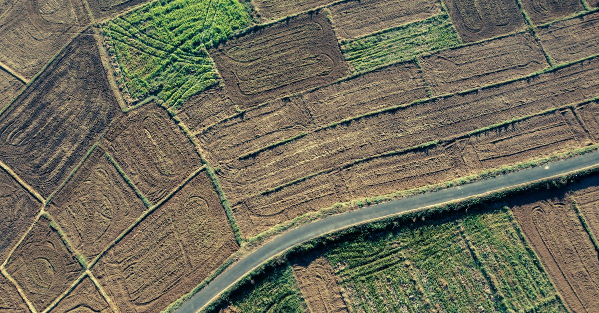 Photo by Anil Sharma Aerial perspective of brown and green agricultural fields intersected by a road.