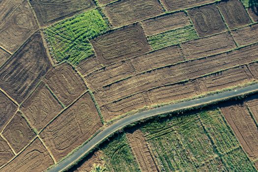 Photo by Anil Sharma Aerial perspective of brown and green agricultural fields intersected by a road.