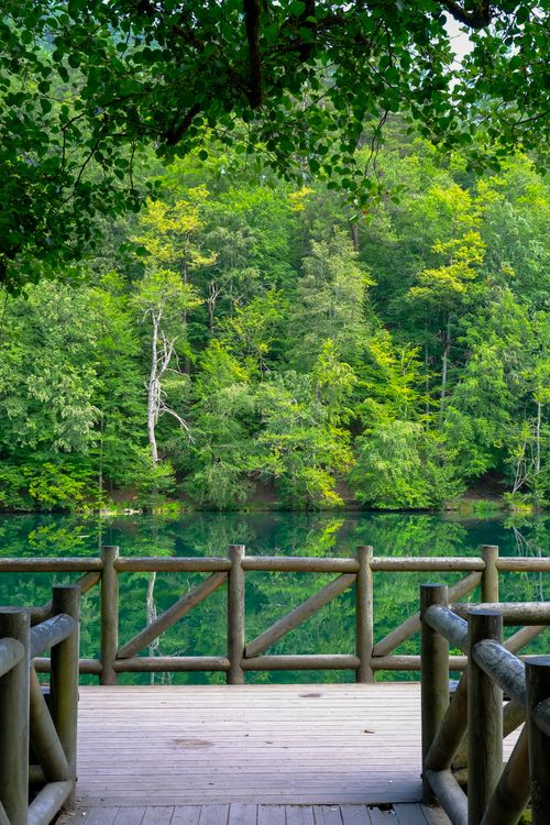 Free Tranquil forest and lake view from a wooden deck in Yedigöller National Park. Stock Photo