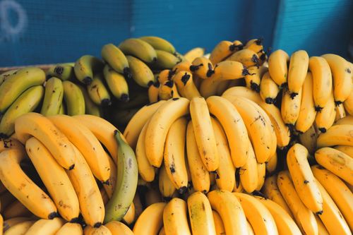 Free Bunches of ripe and green bananas on display at a market stand. Stock Photo