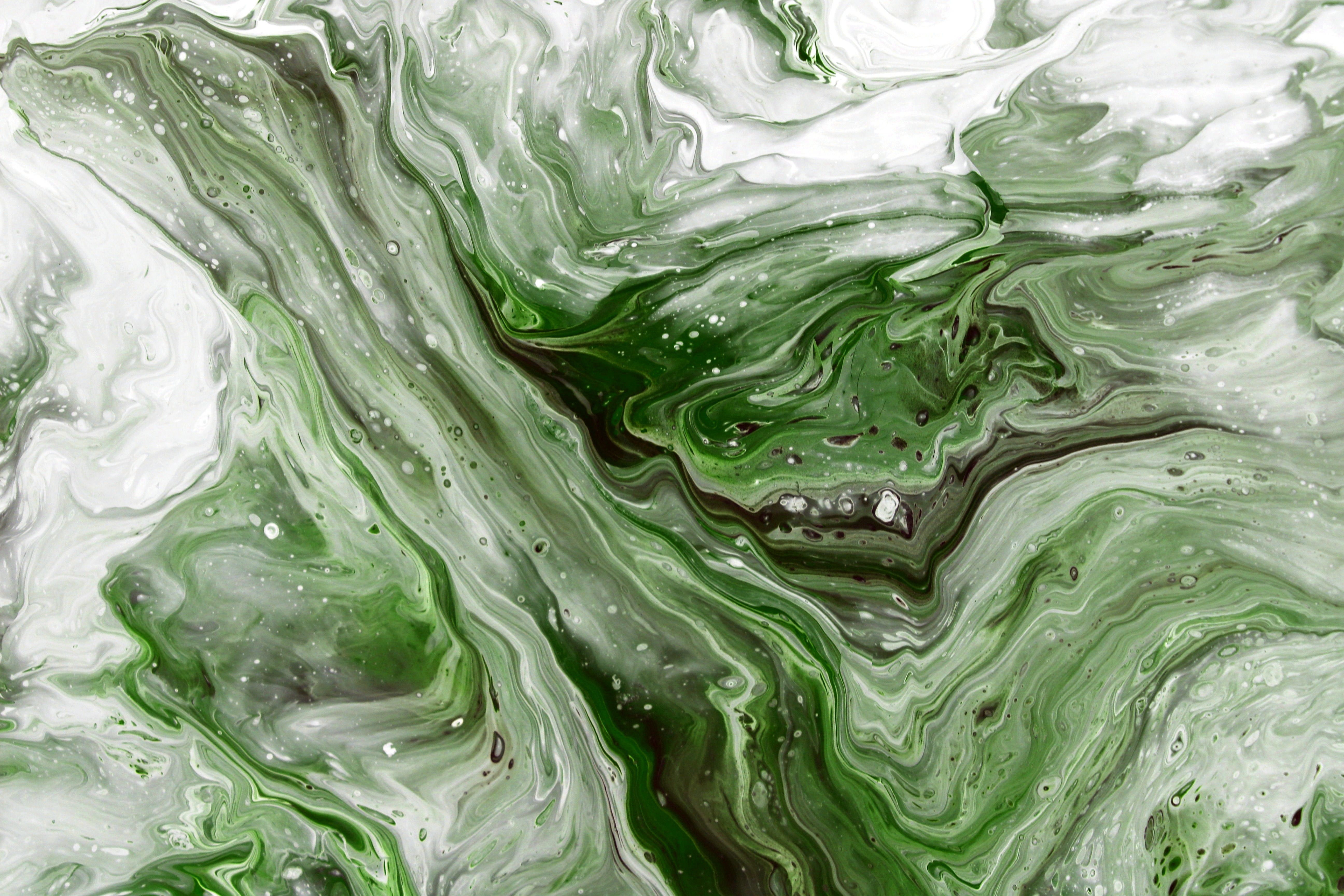 Abstract Green and White Fluid Art Texture · Free Stock Photo