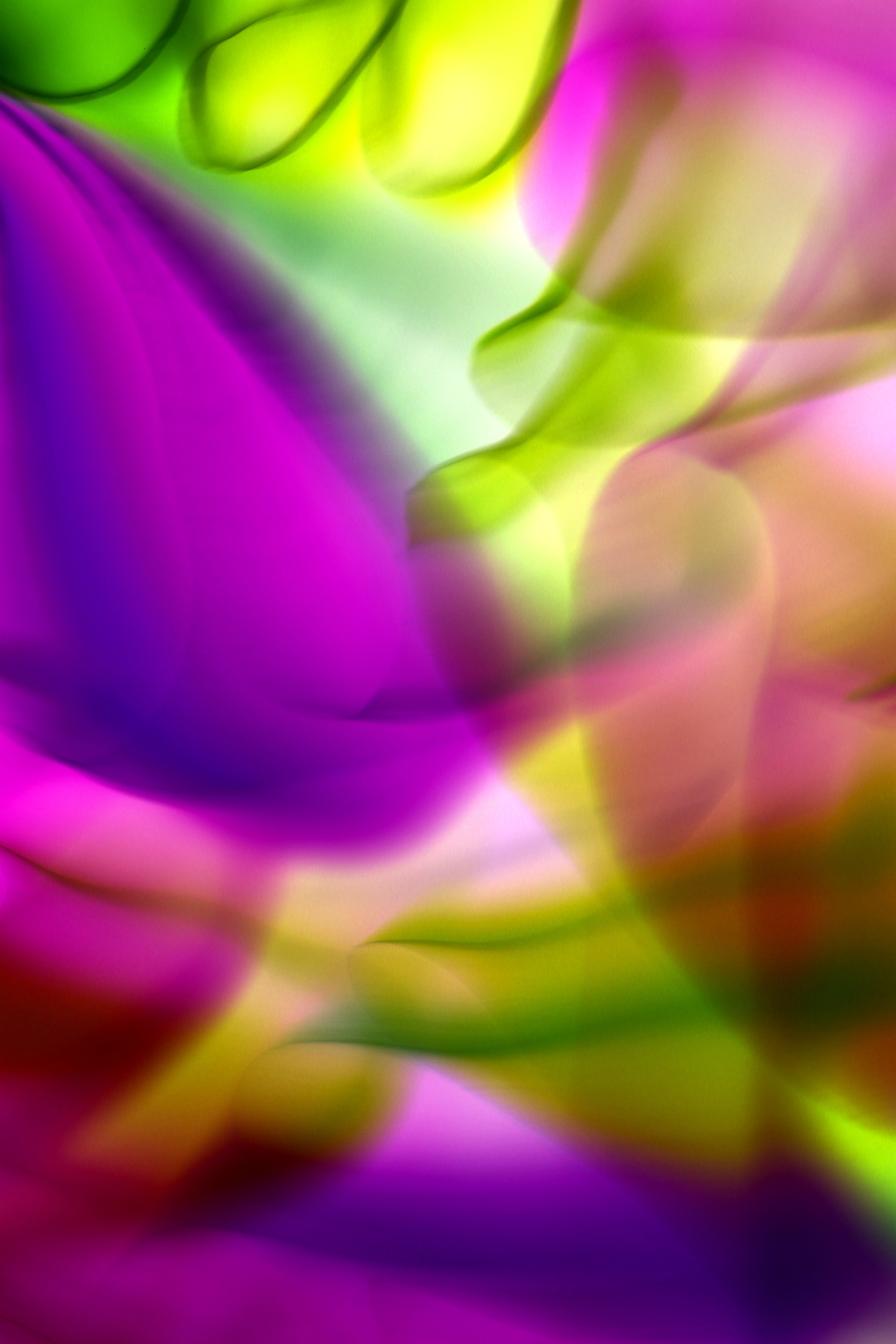 Dynamic abstract image with vibrant waves of green, purple, and pink light.