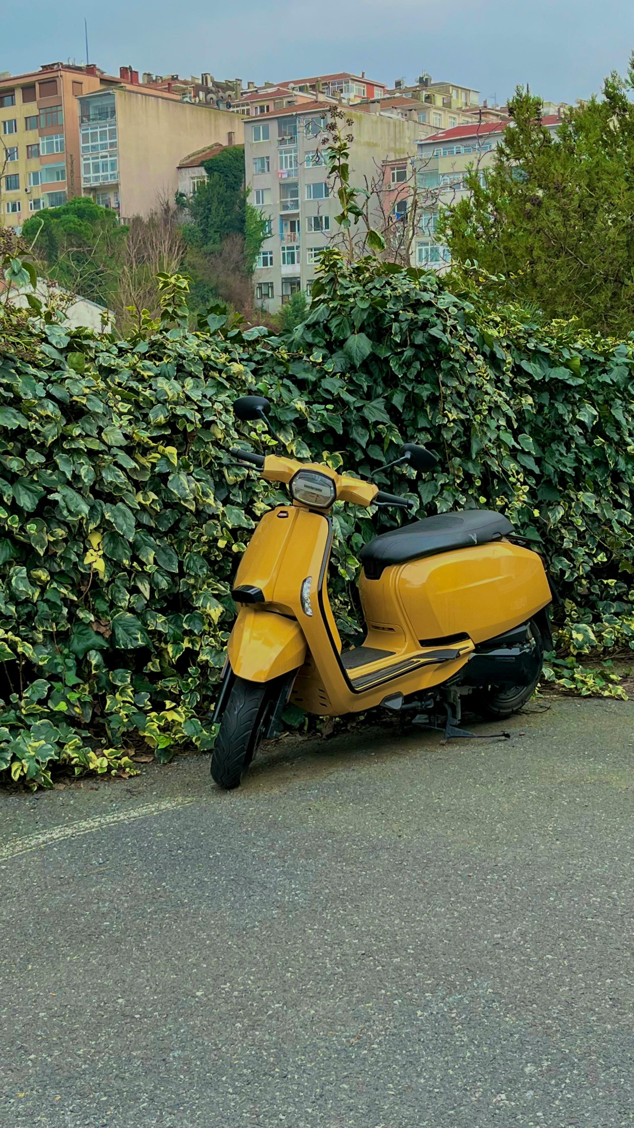 A vibrant yellow scooter rests against a dense ivy backdrop in a cityscape setting.