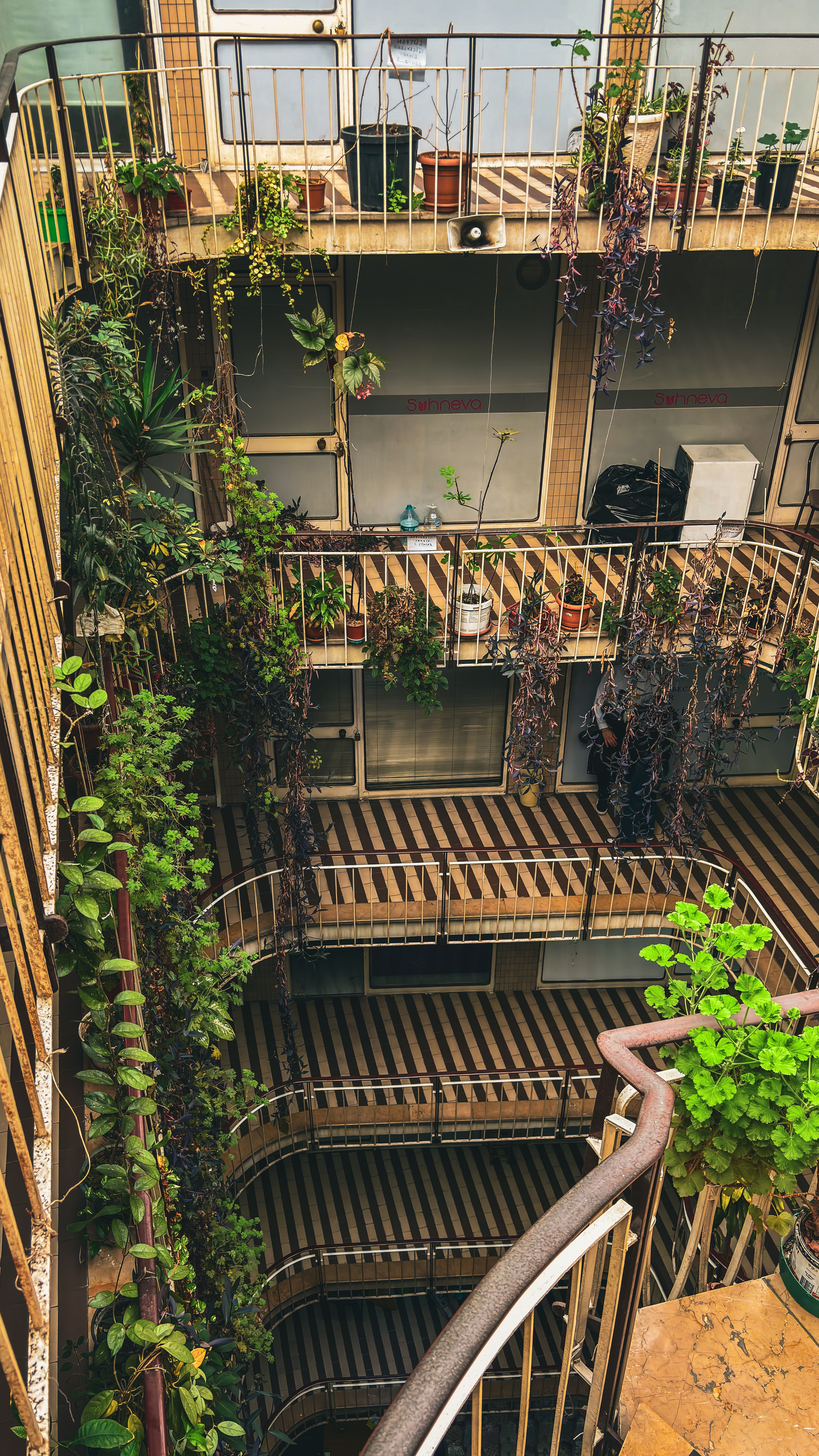 View of Lush Vertical Garden in Urban Apartment Atrium · Free Stock Photo
