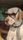funny animal videos