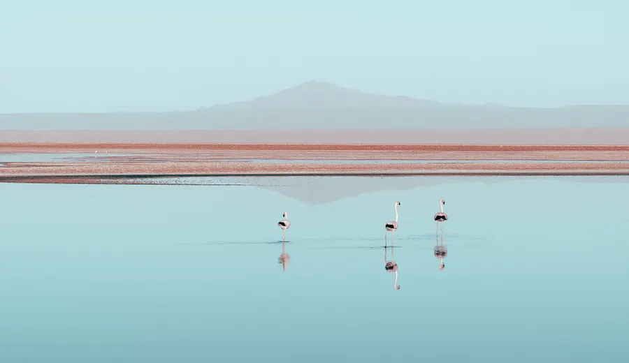 Jour 4 dans le désert d'Atacama
