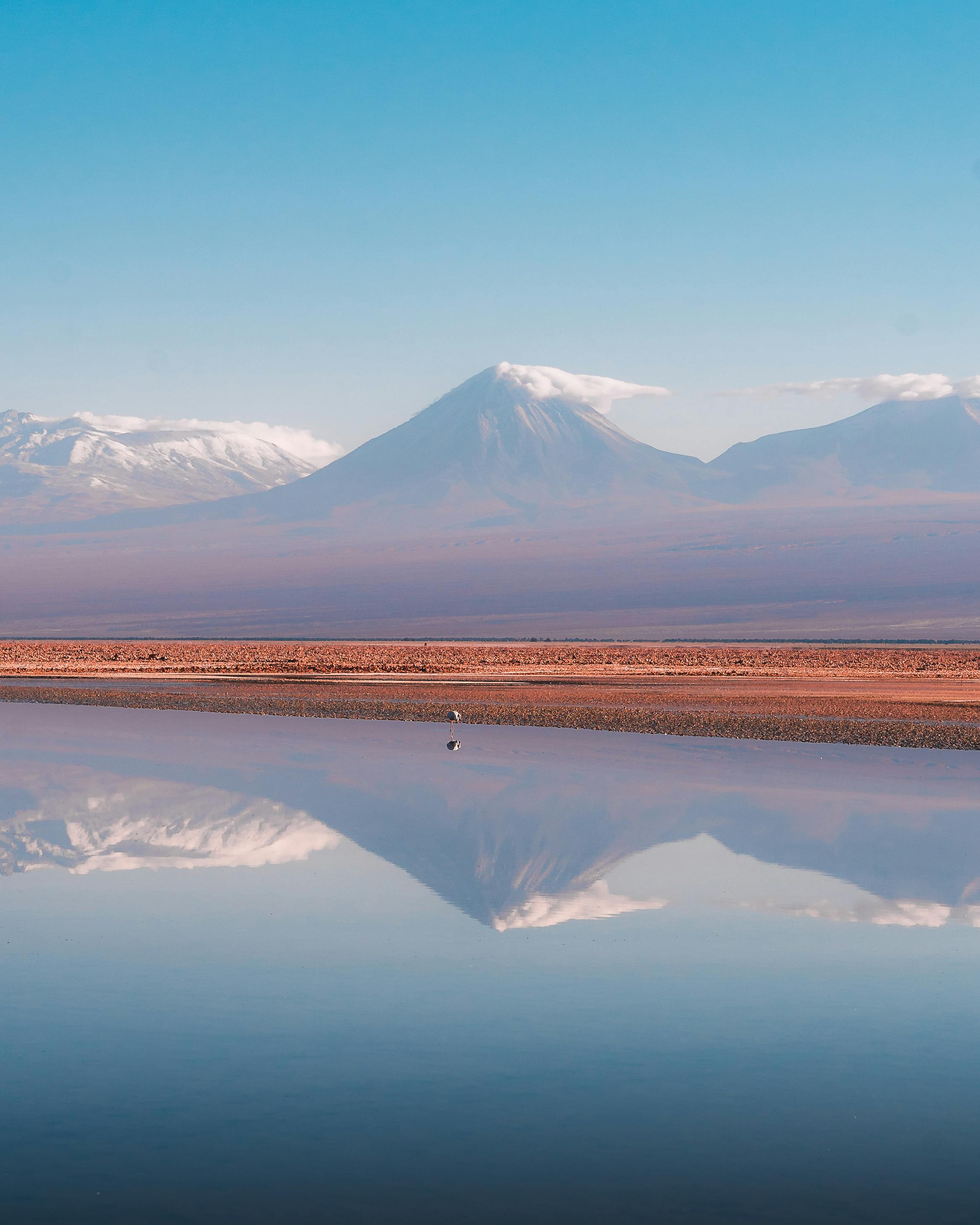 Images+ +Caravan Photos, Download The BEST Free Images+ +Caravan Stock ...