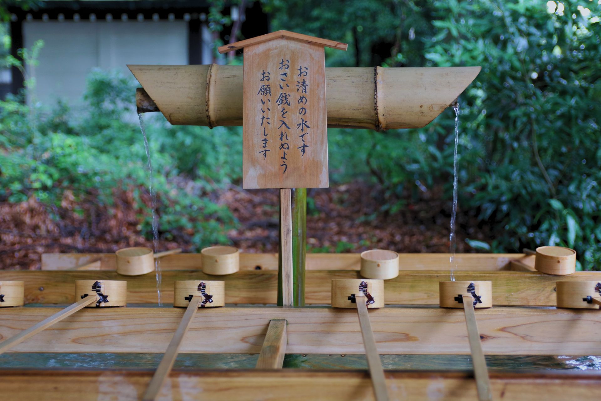 Japanese temizuya water purification fountain in Shibuya, Tokyo temple garden.