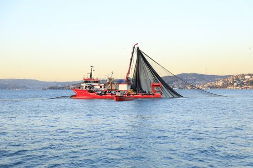 Free A vibrant red fishing boat casting a large net on a calm sea at dusk, surrounded by scenic hills. Stock Photo