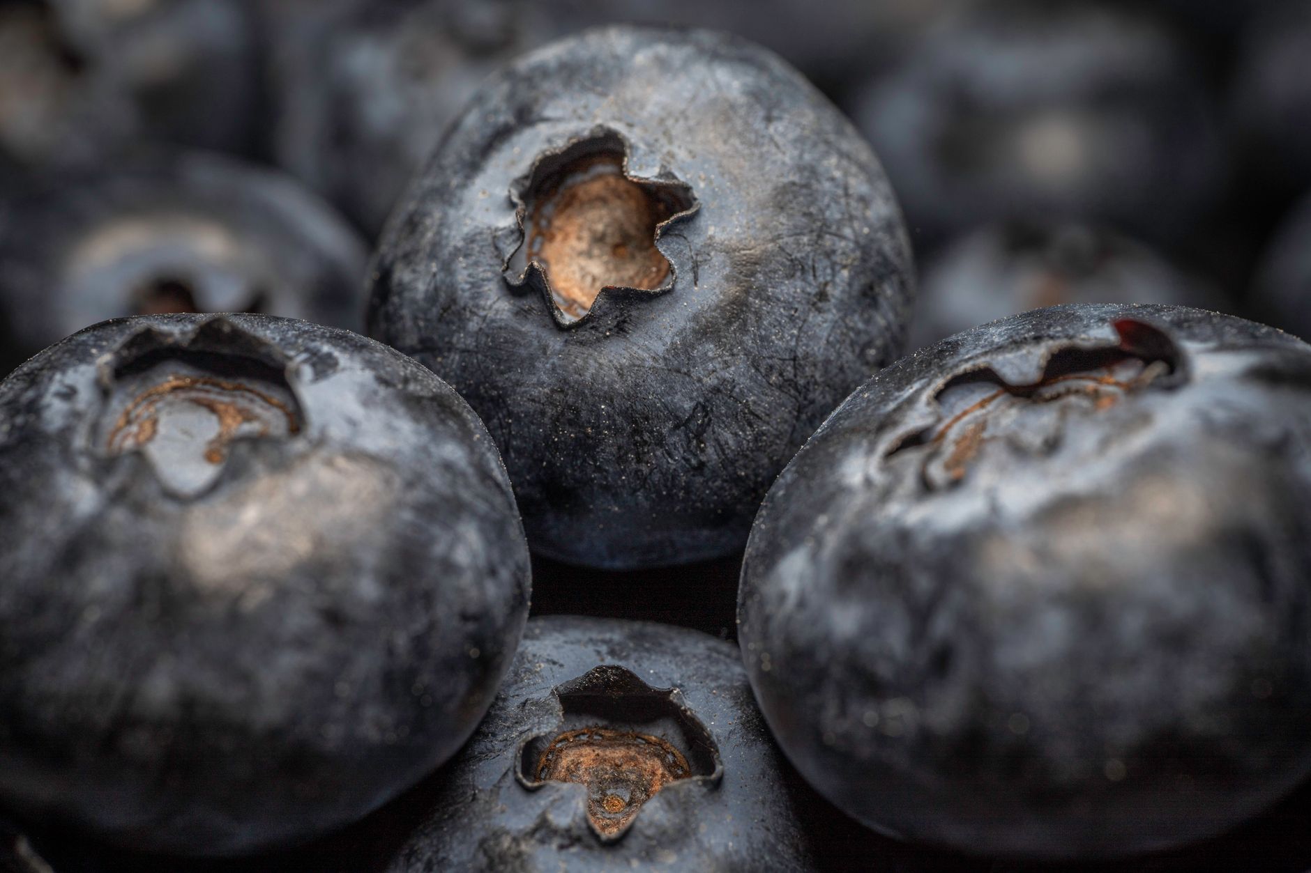 What Is The Food Combining Diet? 1 Detailed macro shot of ripe blueberries showcasing their texture and freshness.