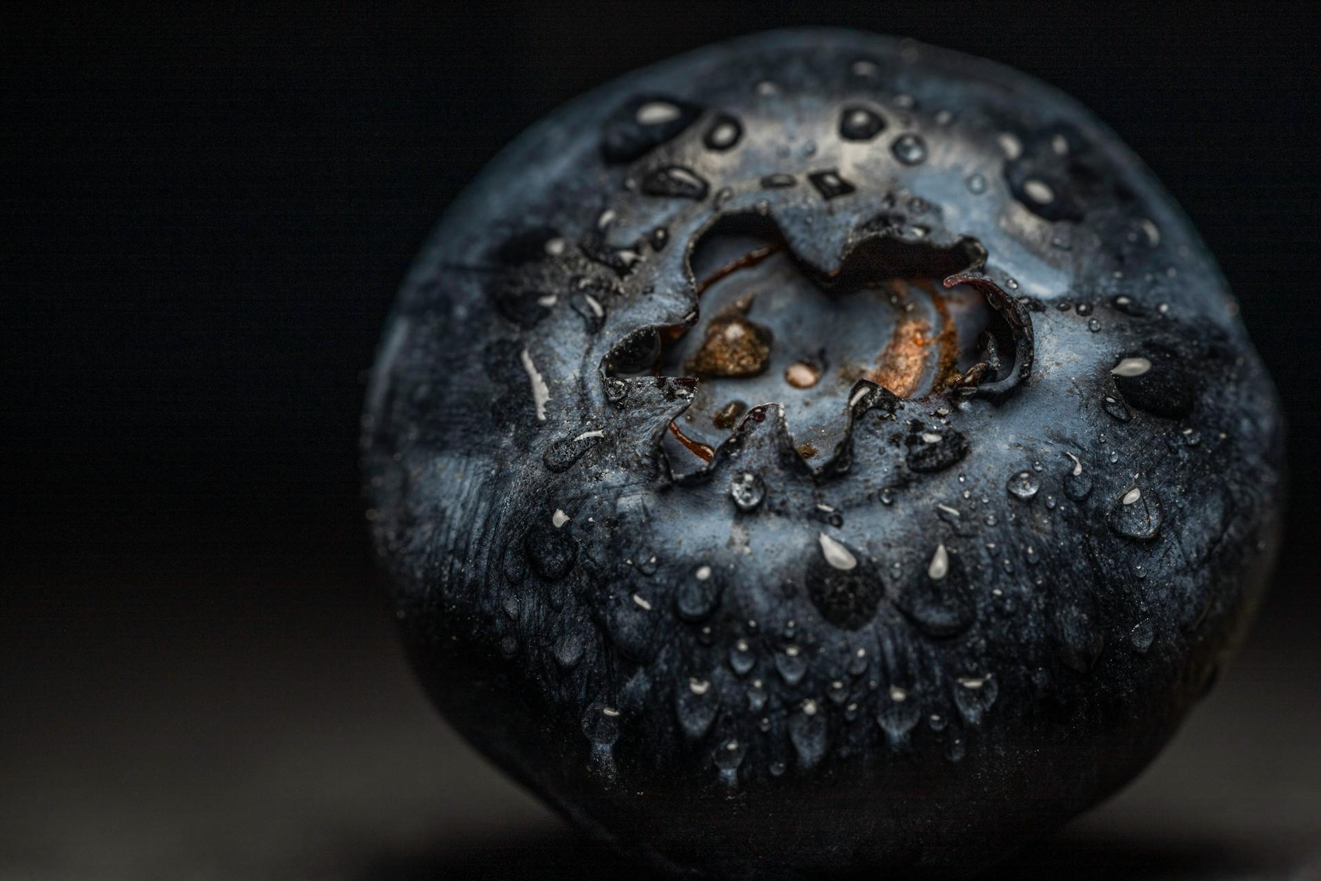 Macro shot of a fresh blueberry with water droplets, highlighting its texture and freshness.