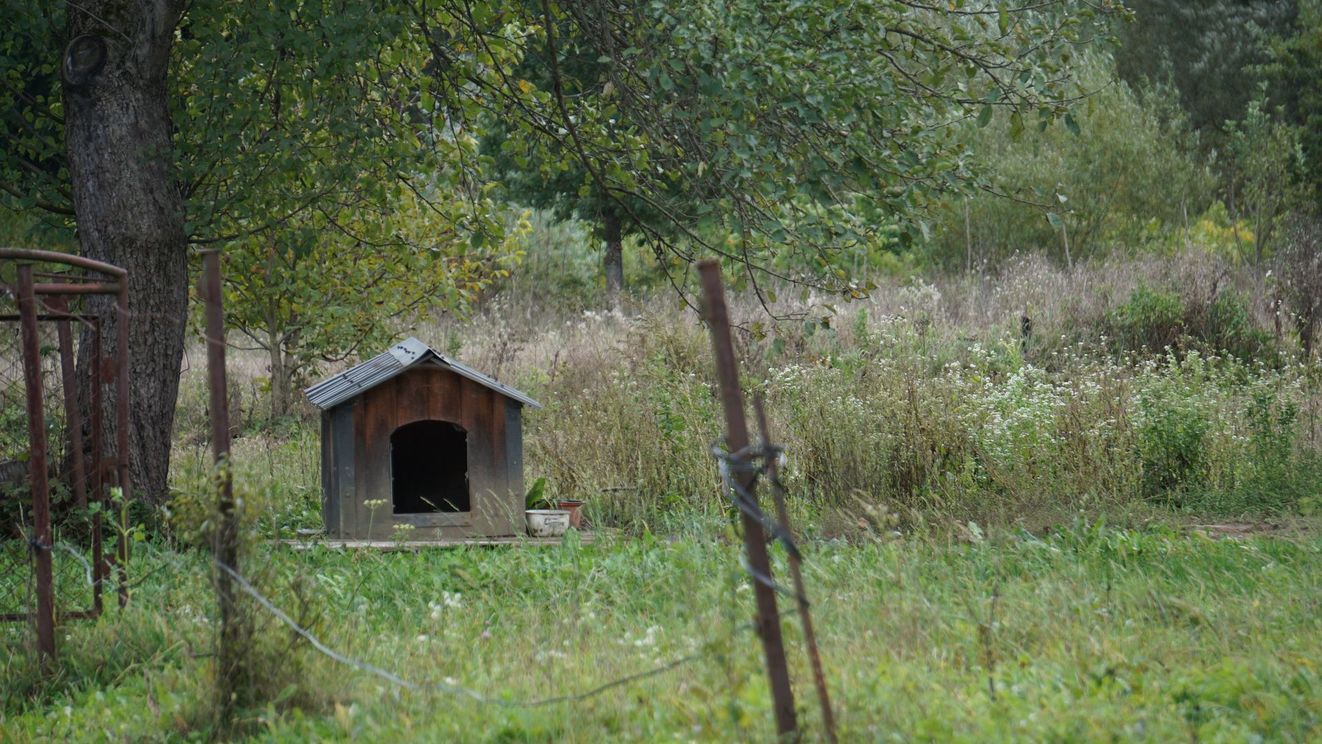 A rustic dog house in a green countryside setting surrounded by trees and grass.