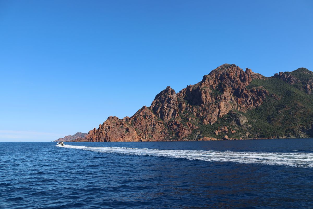 A boat cutting a white wake across the sea below Corsica's red headland
